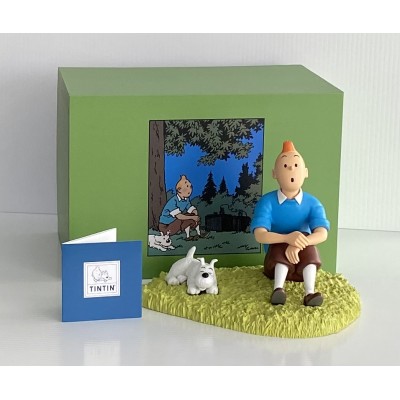 TINTIN EN TOGE ET MILOU EN INDE : Figurines Tintin La Collection officielle  No. 5 : : Jeux et Jouets